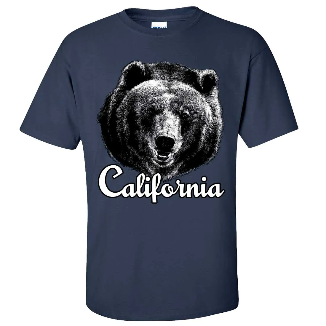 California Grizzly Bear Asst Colors T-shirt/tee